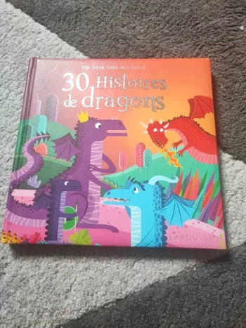 Livre 30 histoires de dragons
