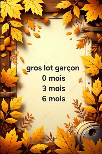 Lot garçon 0 3 6 mois
