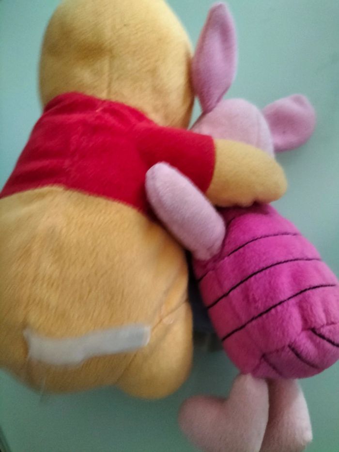 Winnie et porcinet - photo numéro 2
