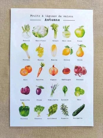 Fruits et légumes de saison d'Automne A4 papier 250G
