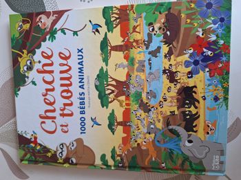 Livre bébé grand format : Cherche et trouve 1000 bébés animaux