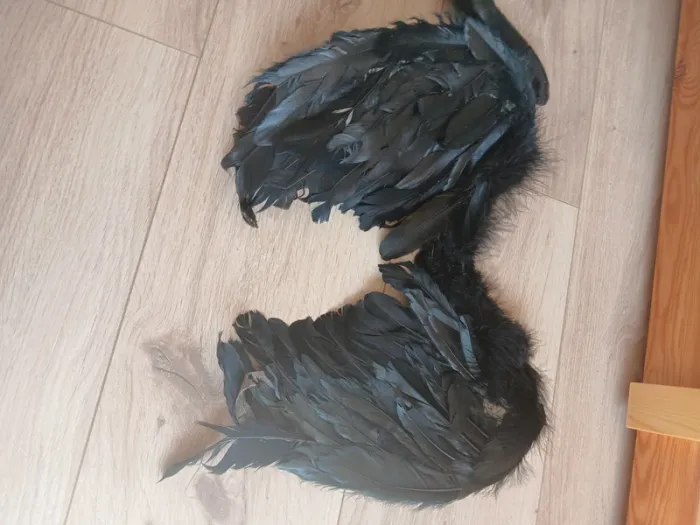 Degusisement style maléfique - photo numéro 4