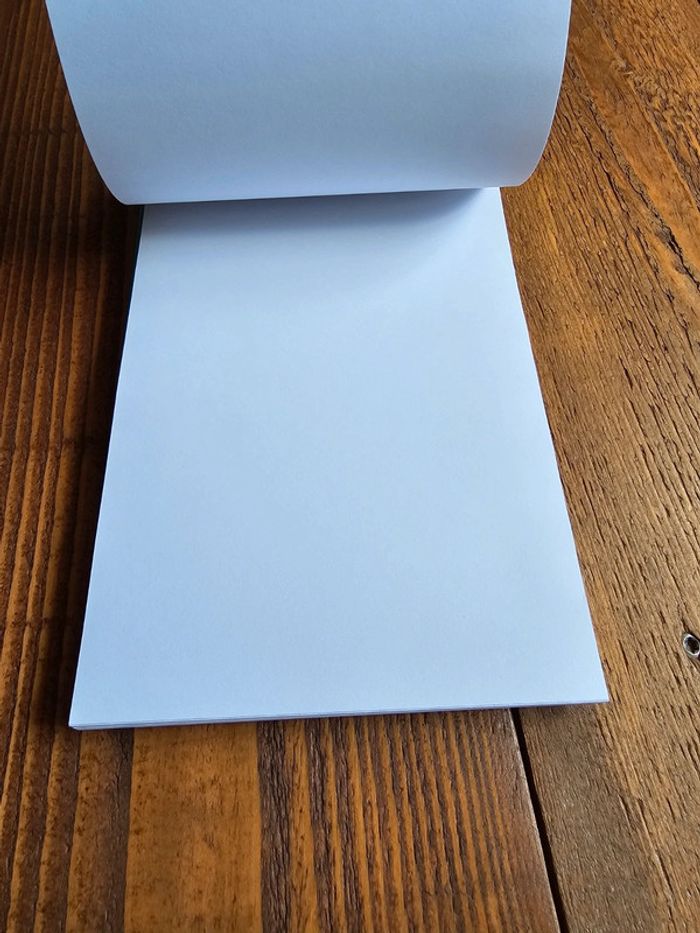 Lot de 2 blocs notes 90 feuilles à spirale feuilles blanches A5 - photo numéro 4
