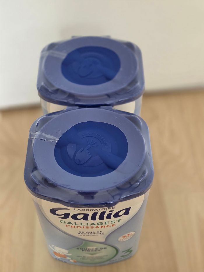 Galliagest croissance 3 - photo numéro 2