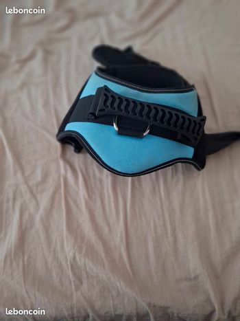 Vend harnais Taille L pour chien moyenne taille je suppose