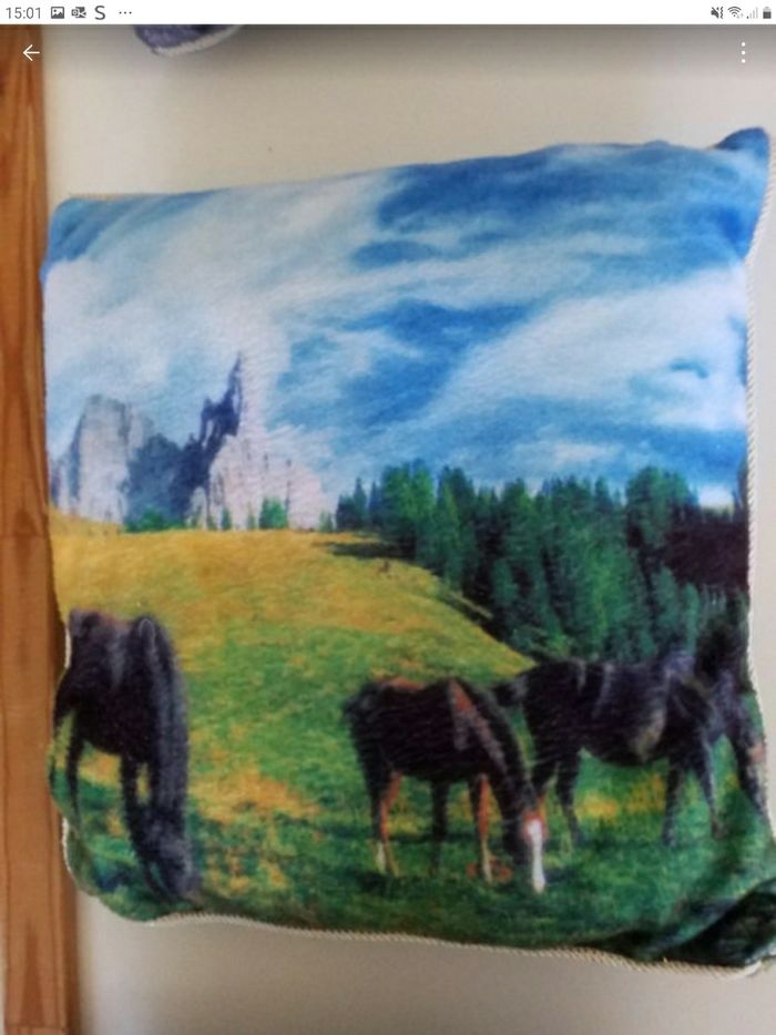 Lot de 3 petit coussin  imprimé 🐎  en cadeau une pochette - photo numéro 6