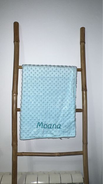 Plaid Minky personnalisé brodé 