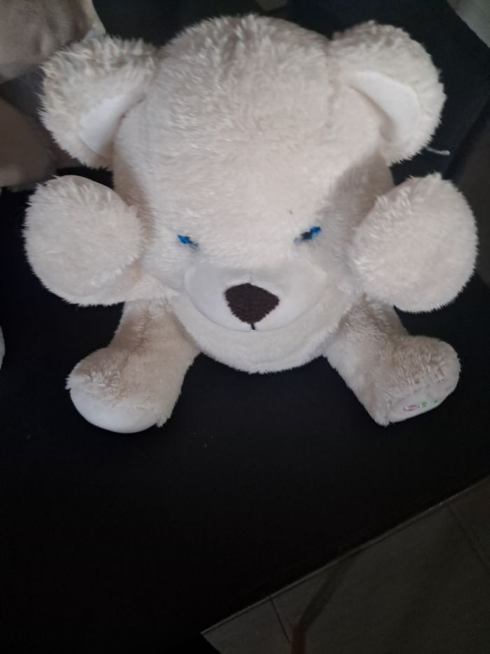 Ours caché coucou gipsy - photo numéro 3