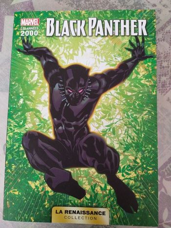 🍓 livre Marvel Black panthère