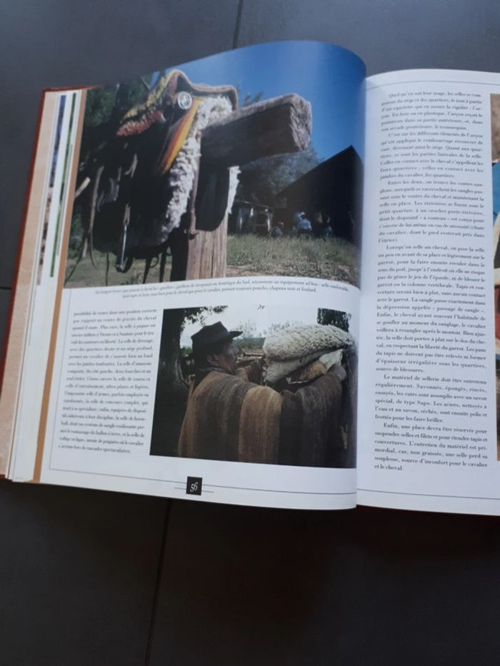 Très beau livre le grand livre des chevaux - photo numéro 10