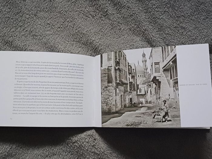 Livre En Egypte-Lettre à sa mère - photo numéro 3