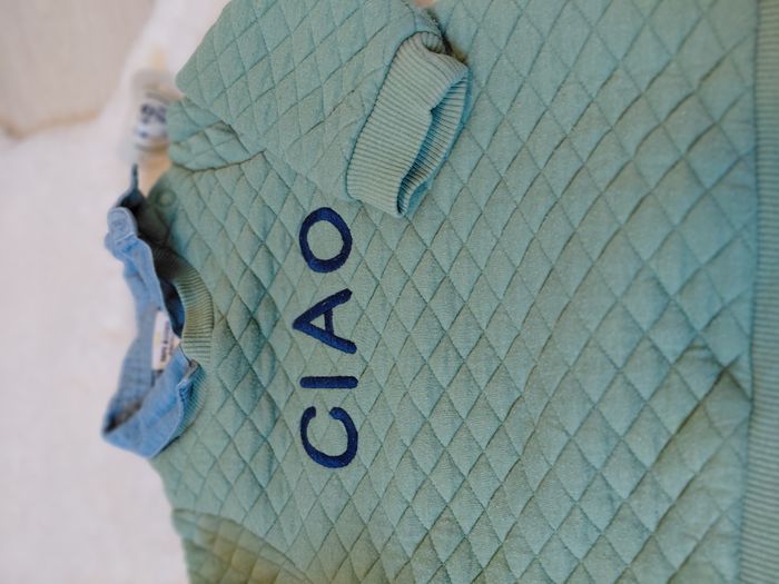 Pull 9 mois - photo numéro 2