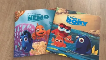 Lot 2 livres Disney