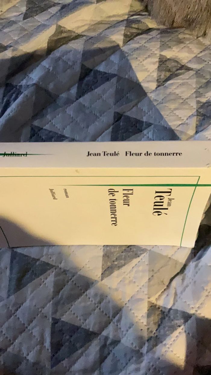 #fleur de tonnerre Jean Teulé - photo numéro 4