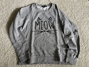 Sweat pull gris Jennyfer Dessin chat T38