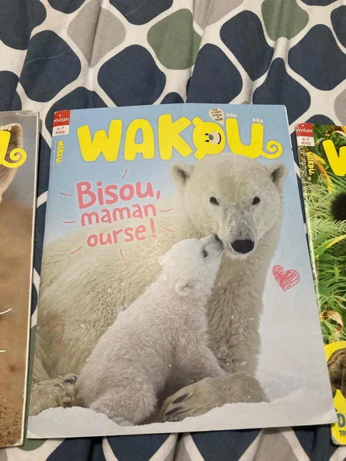 Lot 3 livres wakou - photo numéro 3