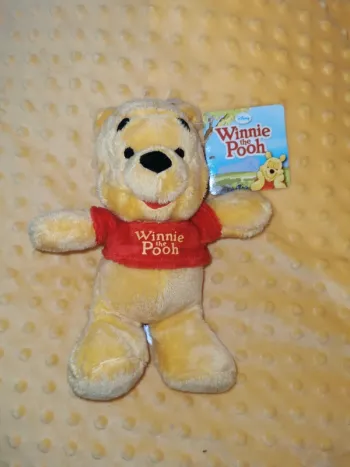 peluche Winnie