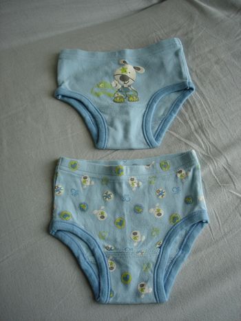 Lot de 2 petits Slips 6 mois