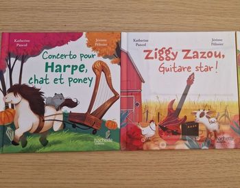 Série Instrument  : harpe guitare / livre Hachette mc do