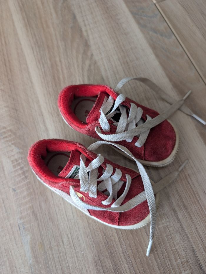 Puma bébé 21 - photo numéro 2