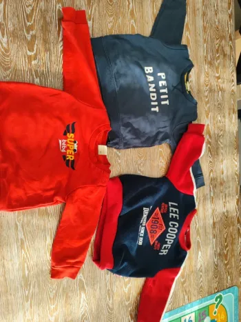 🍁 lot 3 sweats taille 12 mois 🍁