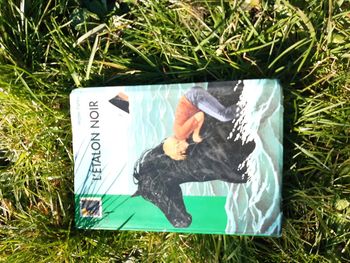 Livre l'étalon noir
