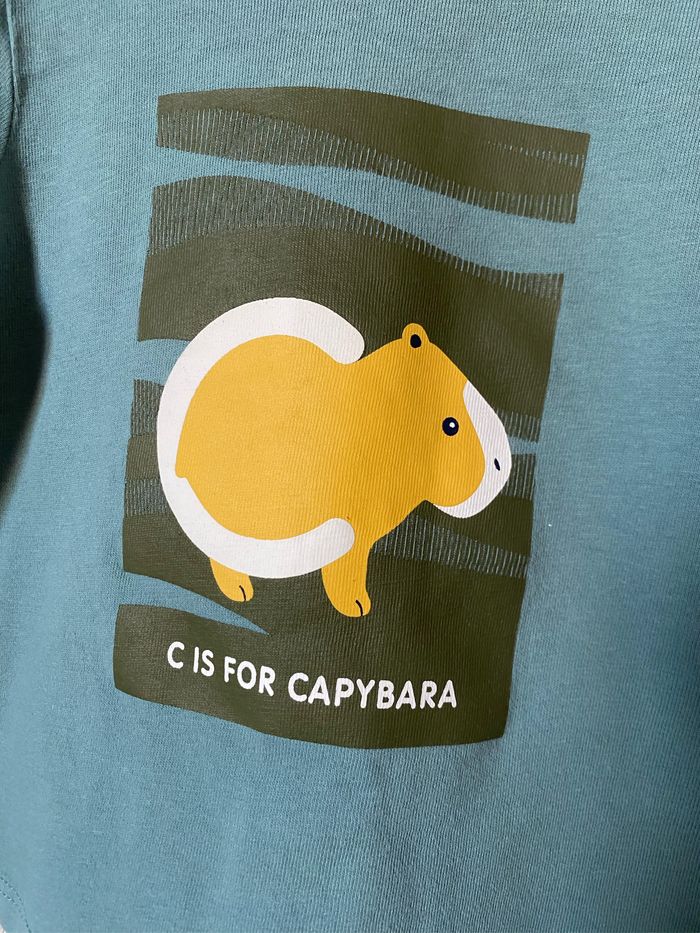 T-shirt vert de gris raton 6 mois Obaibi - photo numéro 2