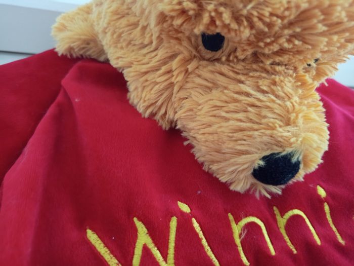 Déguisement peluche Winnie l'ourson - photo numéro 4