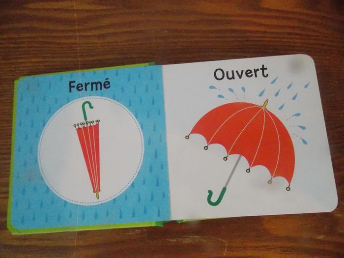 Livre Mes premiers imagiers Les contraires - photo numéro 2