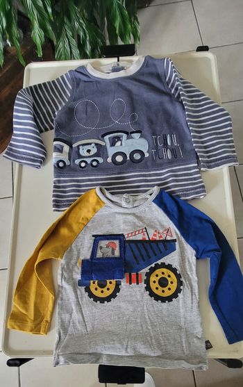 2 tee-shirts 12 mois La compagnie des petits