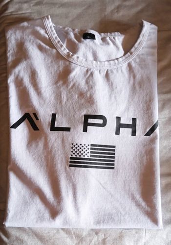 Tee shirt army us gris clair