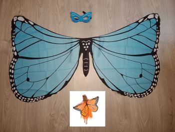 Déguisement papillon