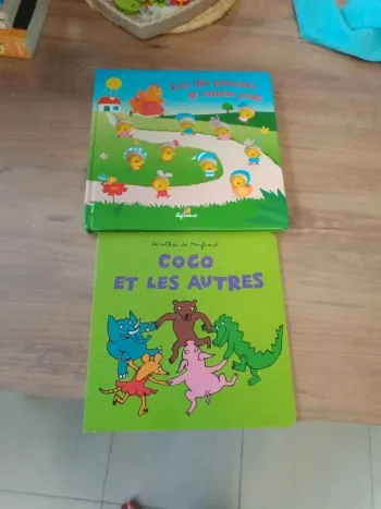 Lot de 2 livres pour enfants