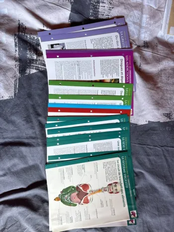 Lots de fiches anatomie physiologie santé