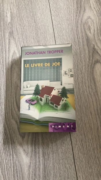 Le livre de  joe