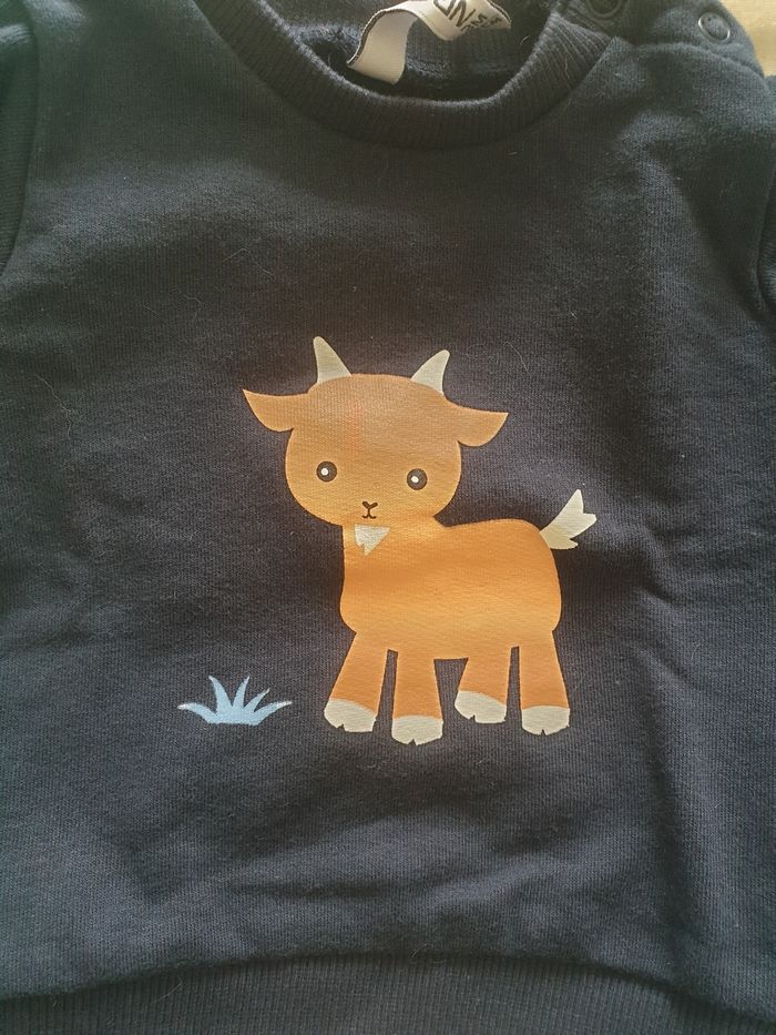 Ensemble - photo numéro 6