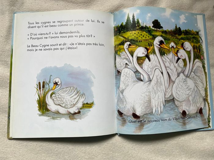 Le vilain petit canard - photo numéro 4