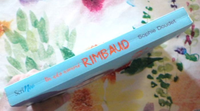 UN ADO NOMME RIMBAUD de Sophie DOUDET Ed. Scrinéo - photo numéro 5