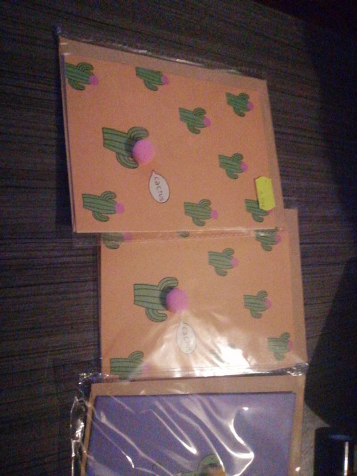 4 cartes et enveloppe CACTUS