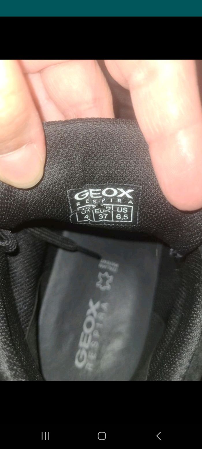 Basket geox - photo numéro 2