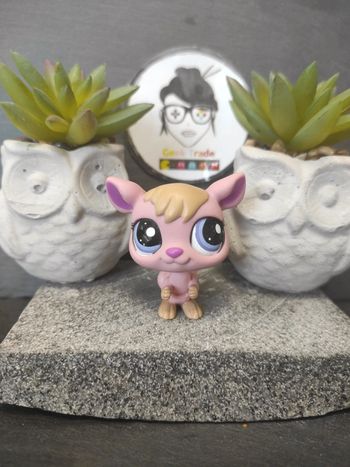 My Littlest Petshop Pet Shop  LPS kangourou kangaroo 1913 #geektradelpskangourou