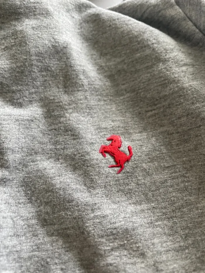 Veste de Ferrari, quatre ans - photo numéro 4