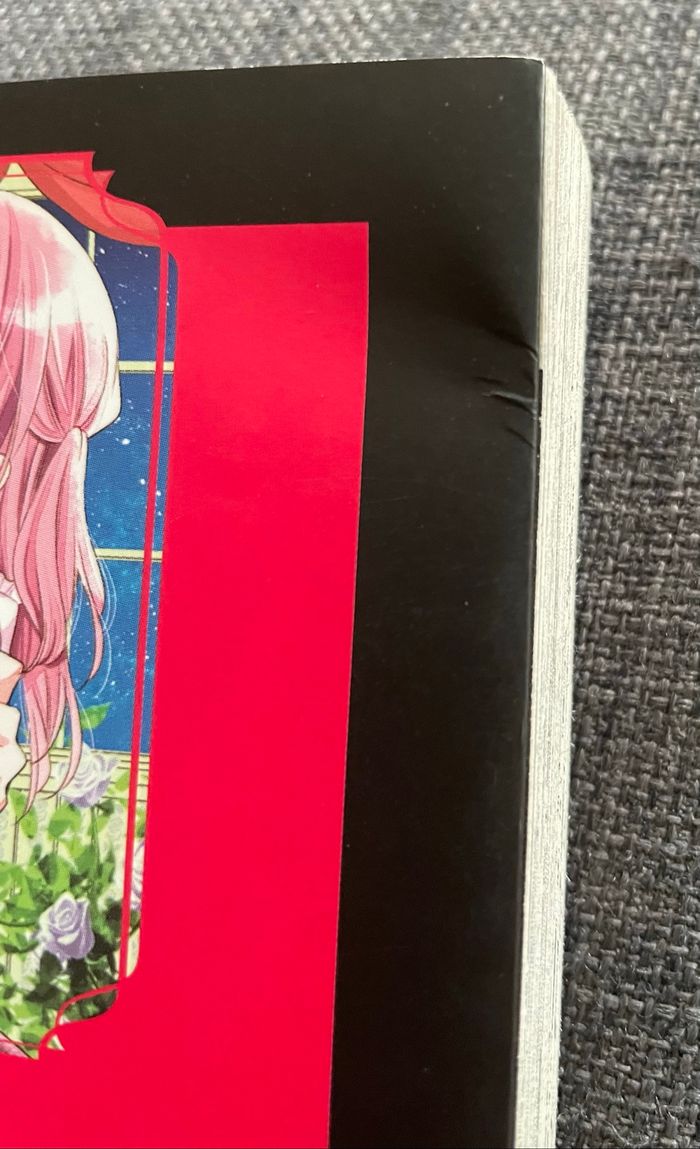 Manga The vampire & The rose - photo numéro 7