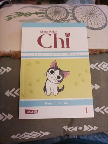 Kleine Katze Chi