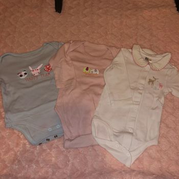 Lot de 3 Bodie