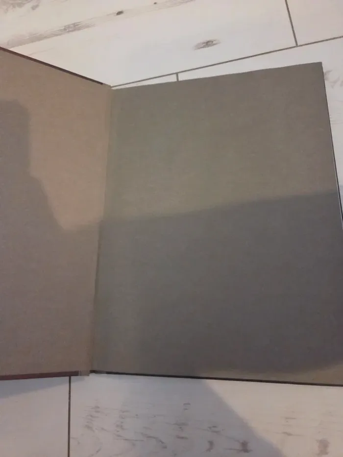 Les carnets de cerise tome 1 - photo numéro 3
