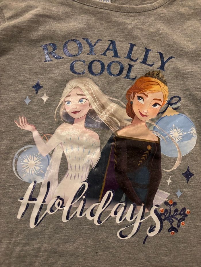 Haut reine des neiges - photo numéro 2