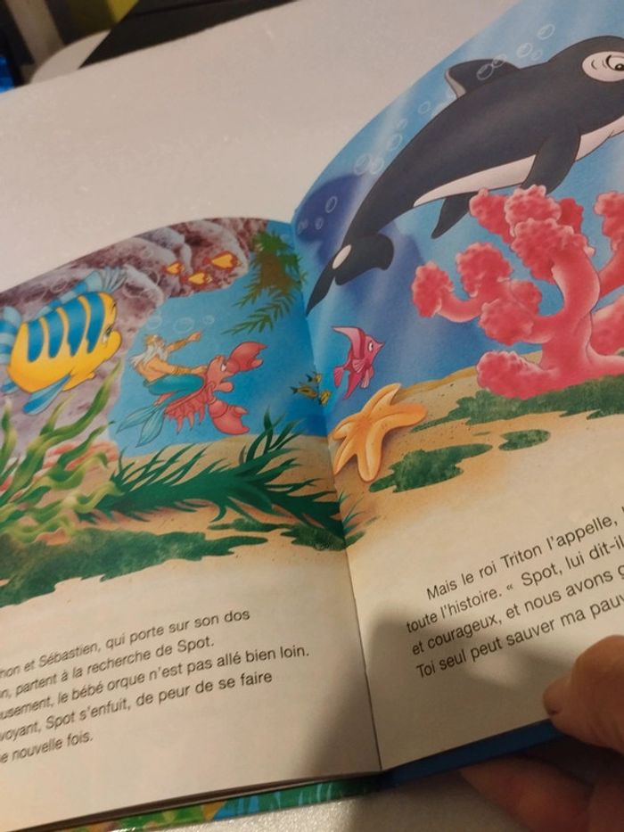 Livre Disney : Ariel et son ami Spot - photo numéro 4