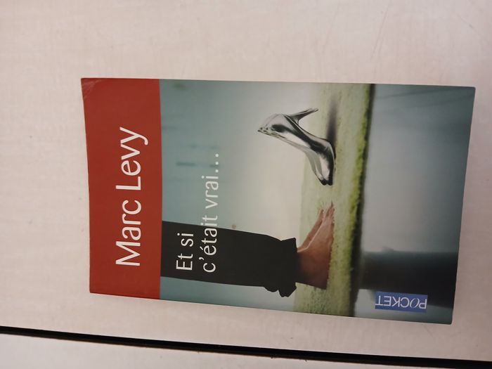 Et si c'était vrai Marc Levy