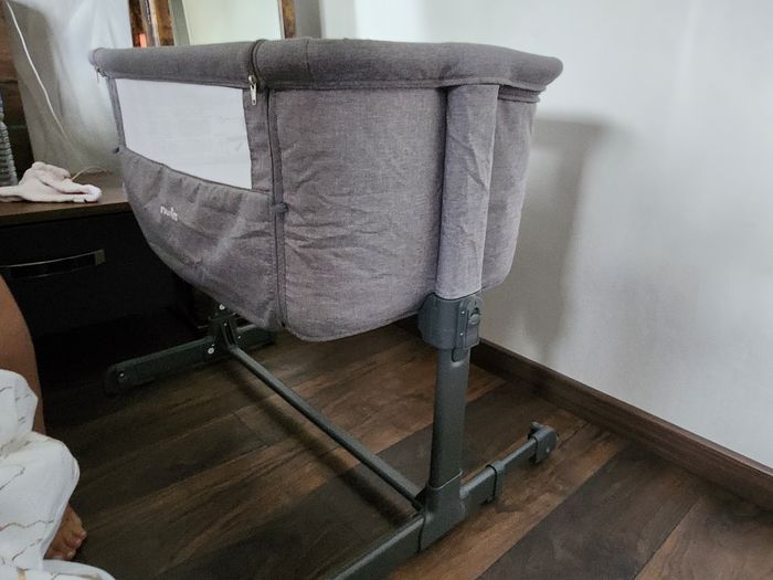 Cododo nania - photo numéro 2